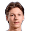 S. Heiskanen